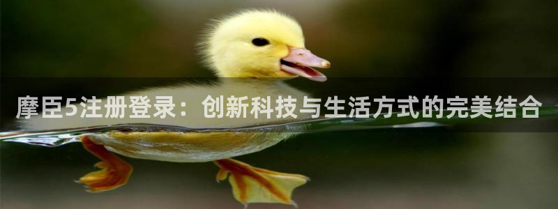 赢咖-ng大舞台,有梦你就来