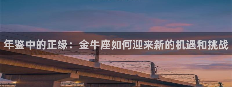 赢咖下载