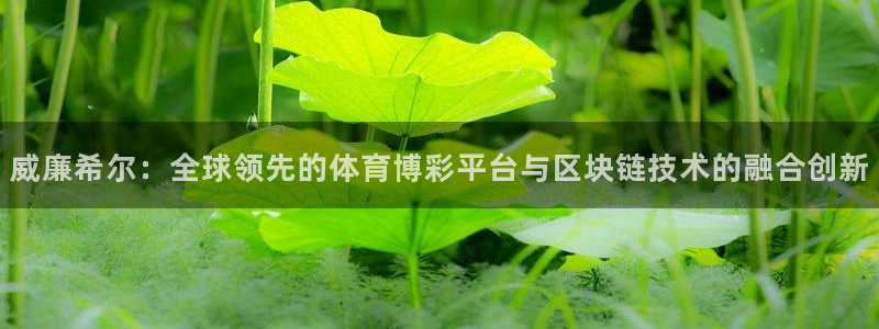 赢咖com