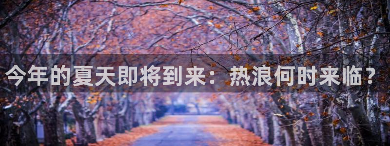 壹号平台app下载安装