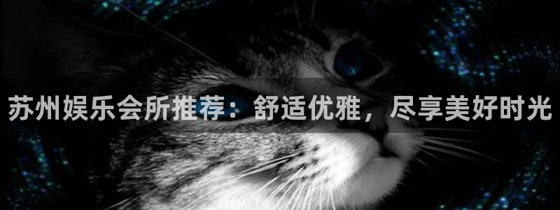 壹号app下载官网娱乐