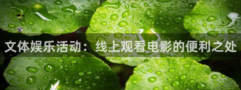 赢咖官网