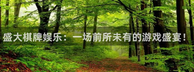 赢咖app下载安装