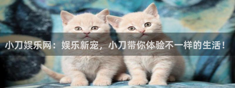 赢咖网站