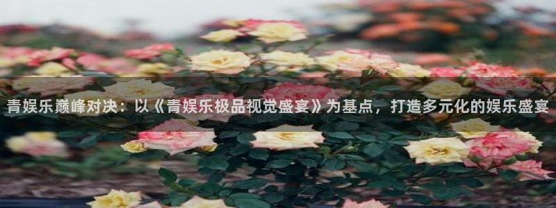 壹号玩家app下载