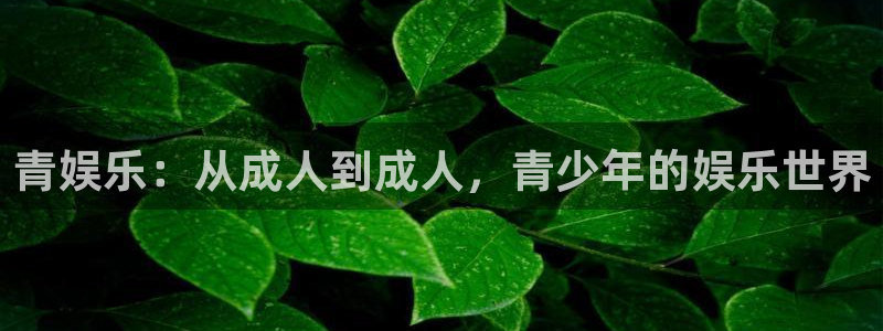 赢咖app