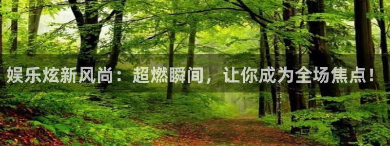 赢咖官方app下载安装