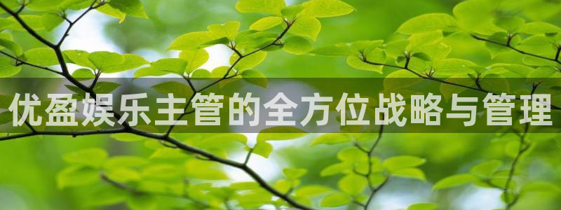 赢咖怎么下载