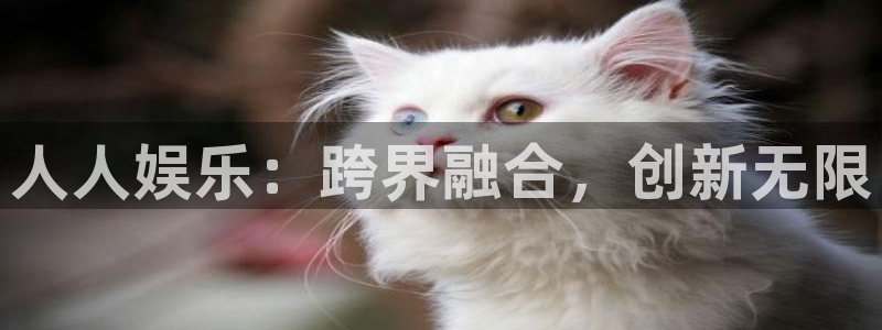 赢咖官方网站下载