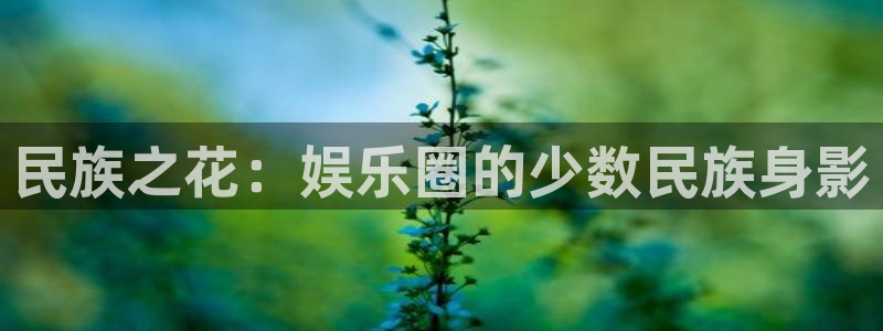 壹号大舞台官网入口