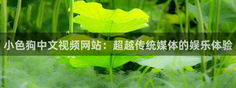 赢咖官网下载