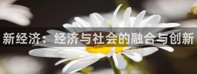 壹号大舞台官网