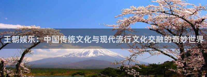 赢咖(com.youad.authst)