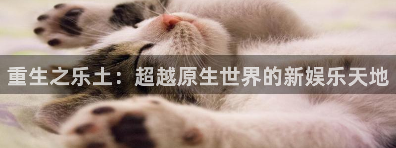壹号大舞台官网：重生之乐土：超越原生世界的新娱乐天地