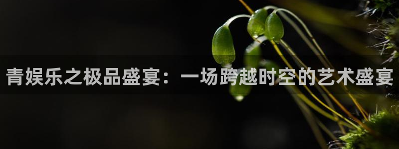 赢咖app：青娱乐之极品盛宴：一场跨越时空的艺术盛宴