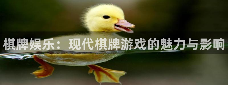 赢咖app下载安装：棋牌娱乐：现代棋牌游戏的魅力与影响