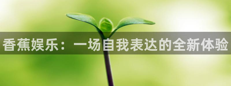 赢咖强制退款流程详解：香蕉娱乐：一场自我表达的全新体验