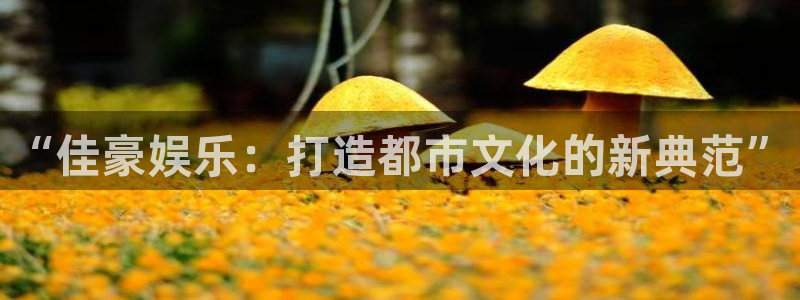 壹号app下载：“佳豪娱乐：打造都市文化的新典范”